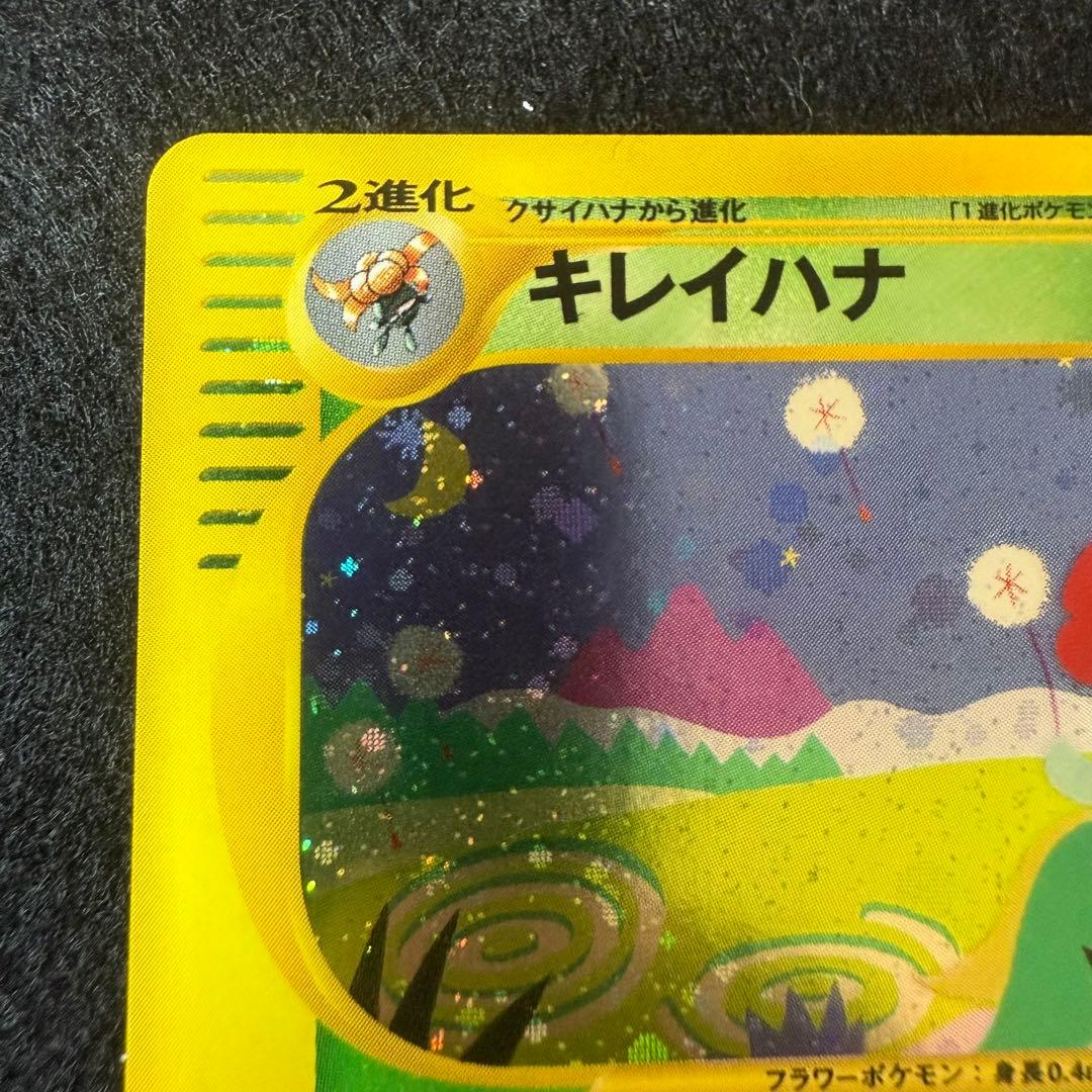 ラフレシア　キレイハナ　2枚セット　カードe