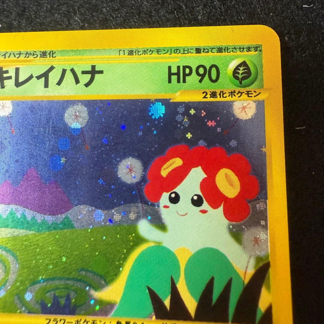 ラフレシア　キレイハナ　2枚セット　カードe