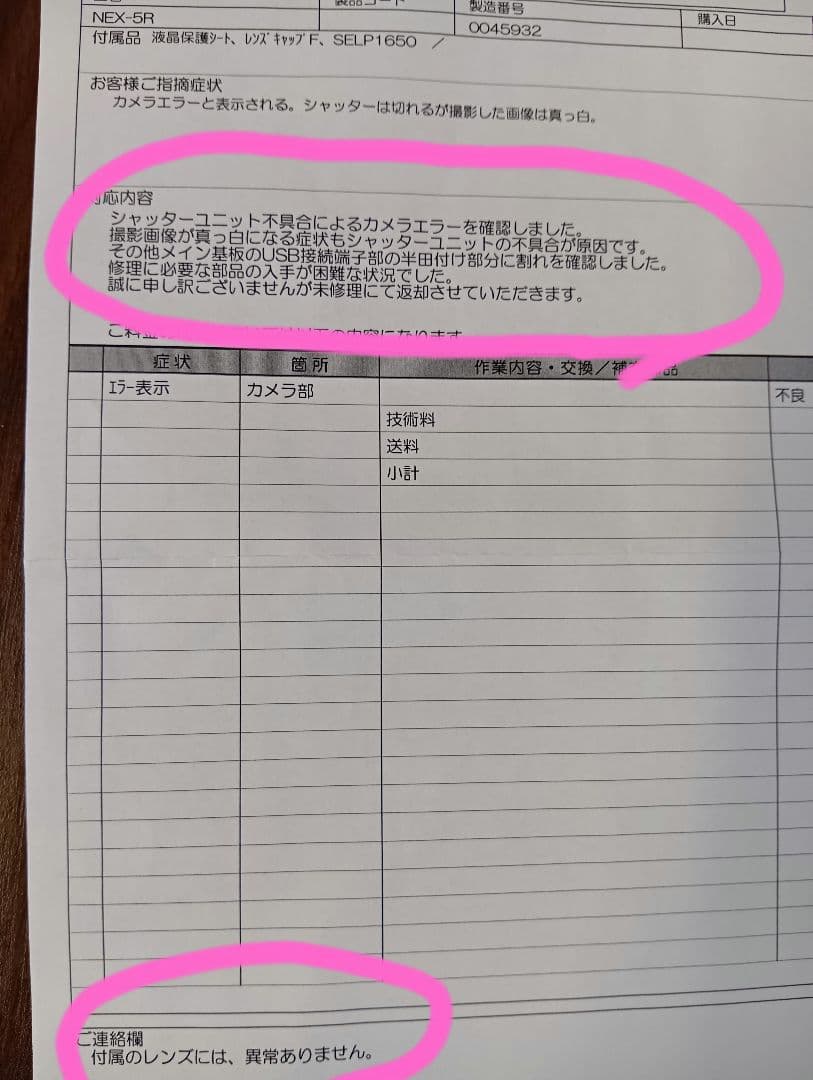 ジャンク品 ソニーNEXー5RY