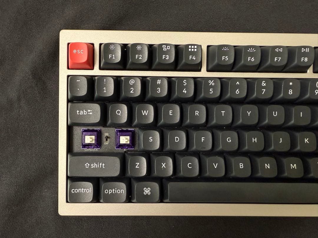 【美品】SKN 青鳥 AOTORI 75% メカニカルキーボード カスタム