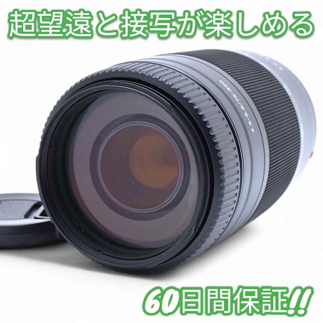 美品 Sony 75-300mm F4.5-5.6 MACRO #9171