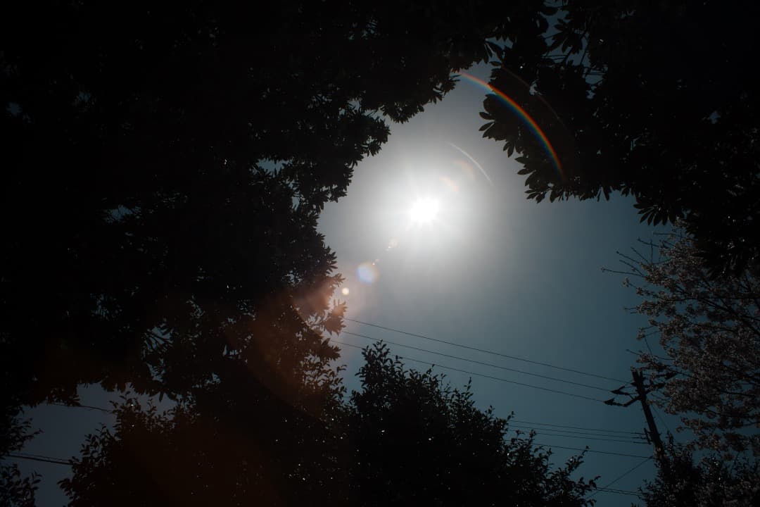 【希少・極美品】 Super Takumar 24mm F3.5 788