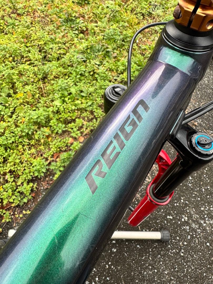 2020 Giant Reign 29ER (Mサイズ)セット