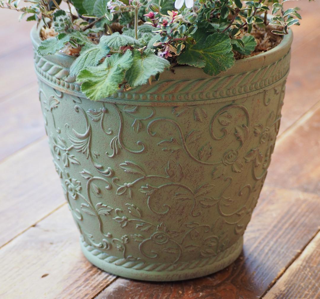 【お値引品】ウィンターシンフォニー寄せ植え