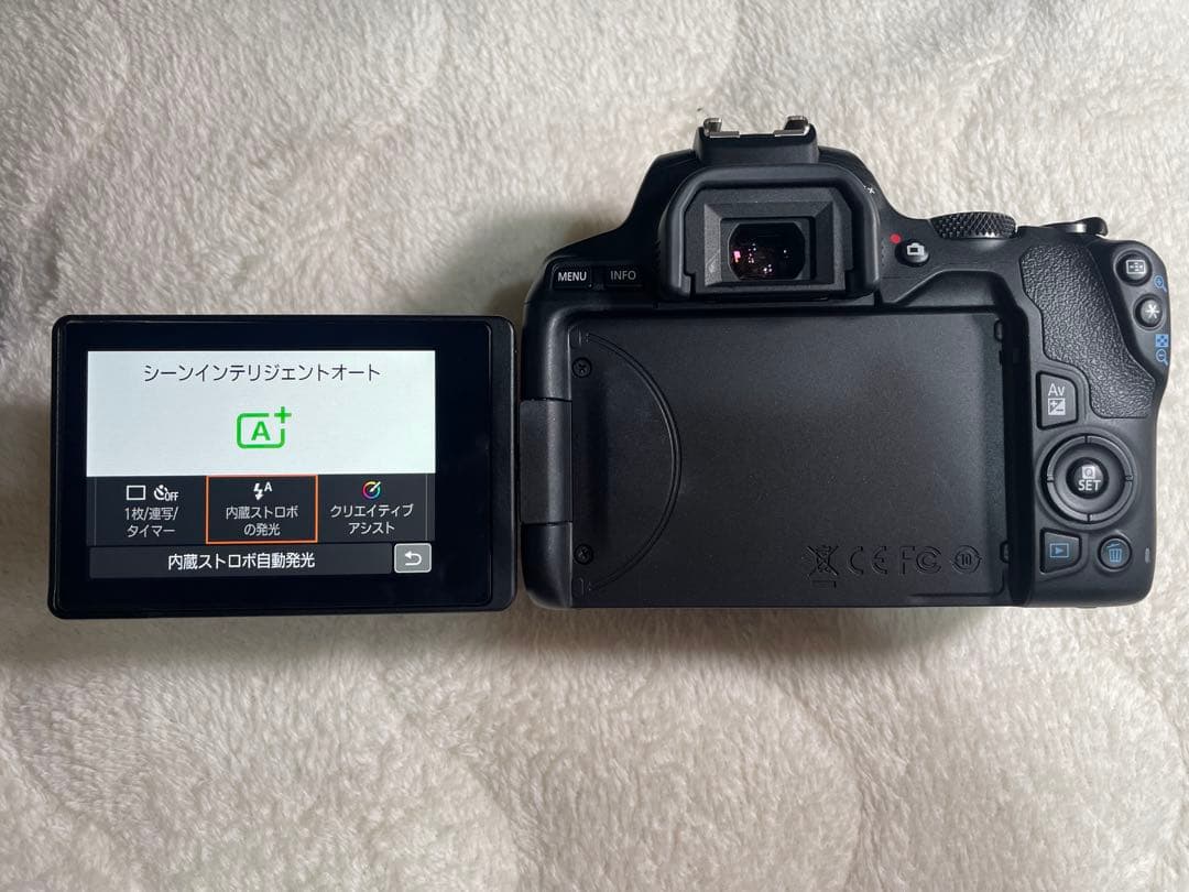 Canon EOS Kiss X10 レンズセット 単焦点レンズ カメラバッグ