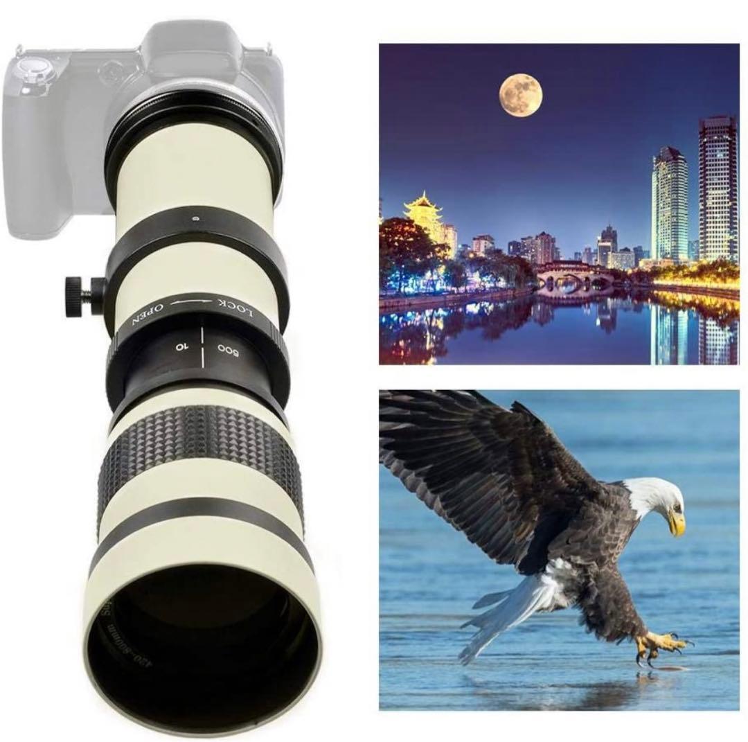 初心者でも安心サポート付き！NikonZミラーレスカメラをお持ちの方におすすめ！