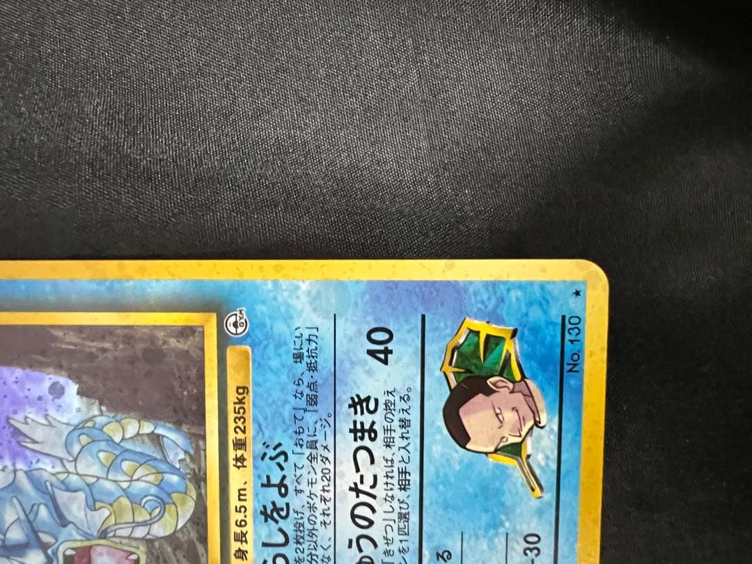 サカキのギャラドス LV.40 HP90