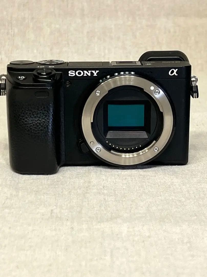 K*K様 SONY α6400 ショット数2,943枚 ボディ