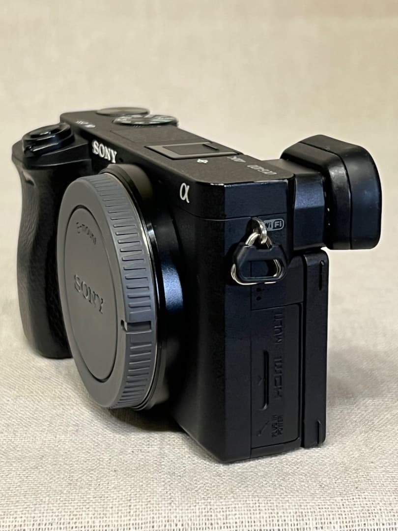 K*K様 SONY α6400 ショット数2,943枚 ボディ