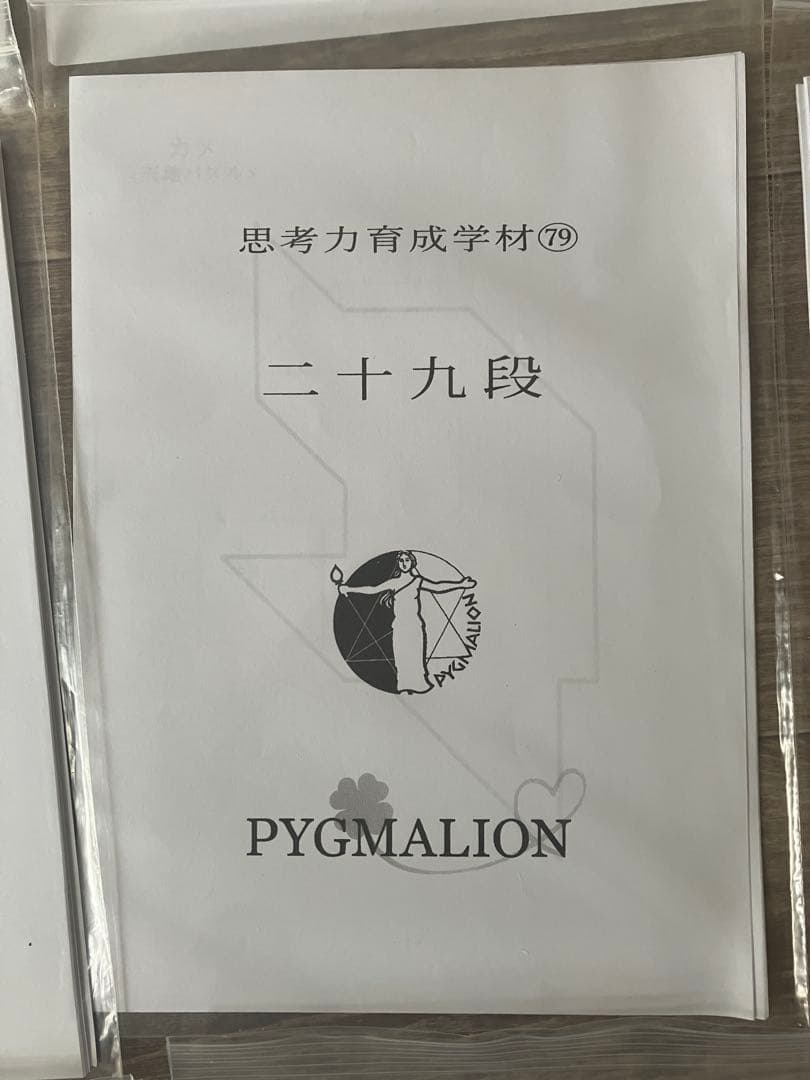 【希少・袋入】ピグマリオン 思考力育成教材 17点セット 二十一段〜三十二段