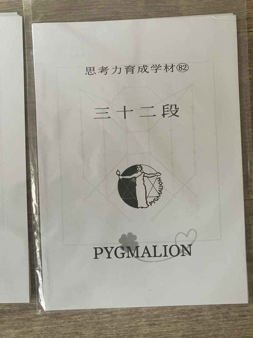 【希少・袋入】ピグマリオン 思考力育成教材 17点セット 二十一段〜三十二段