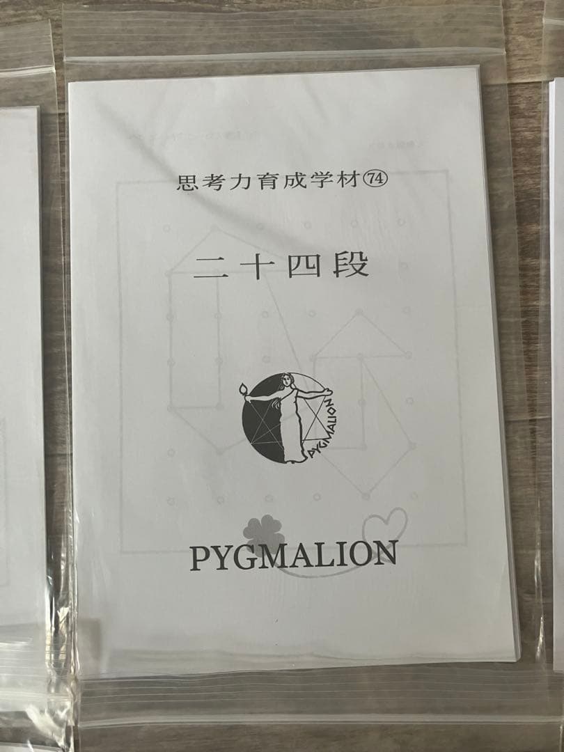 【希少・袋入】ピグマリオン 思考力育成教材 17点セット 二十一段〜三十二段