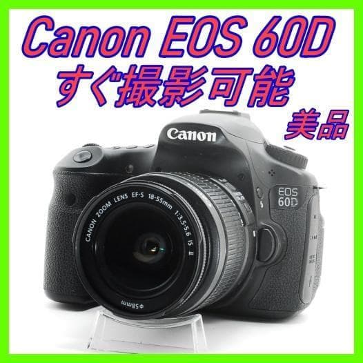 【動画もOK】Canon EOS 60D IS STM標準レンズ