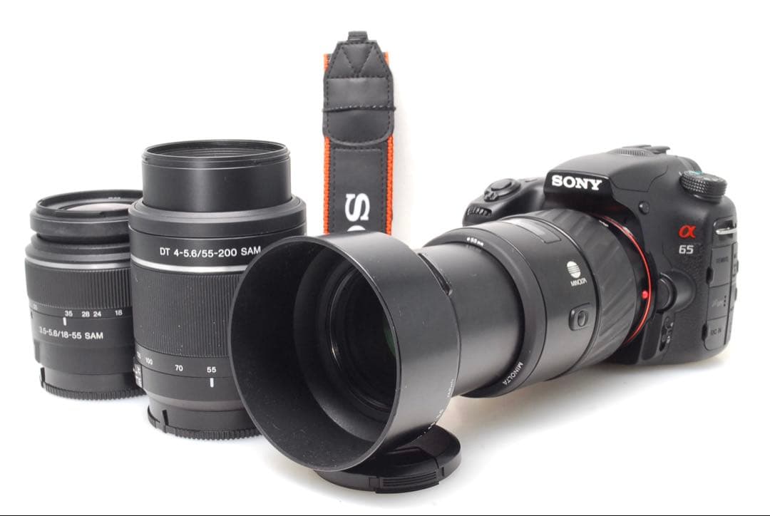 ✨SONY α65✨トリプルレンズ✨フル装備✨入門モデル✨超高画質✨超望遠✨美品