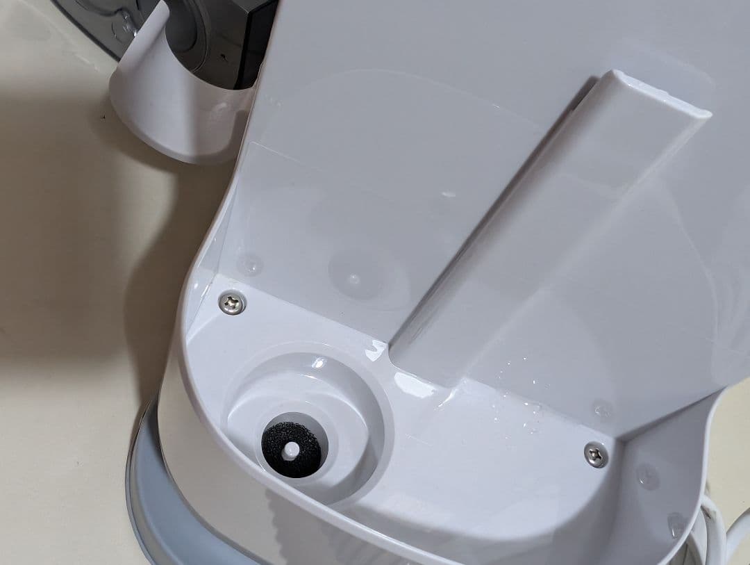 2023年製 リンサークリーナー アイリスオーヤマ RNS-P10-W ホワイト