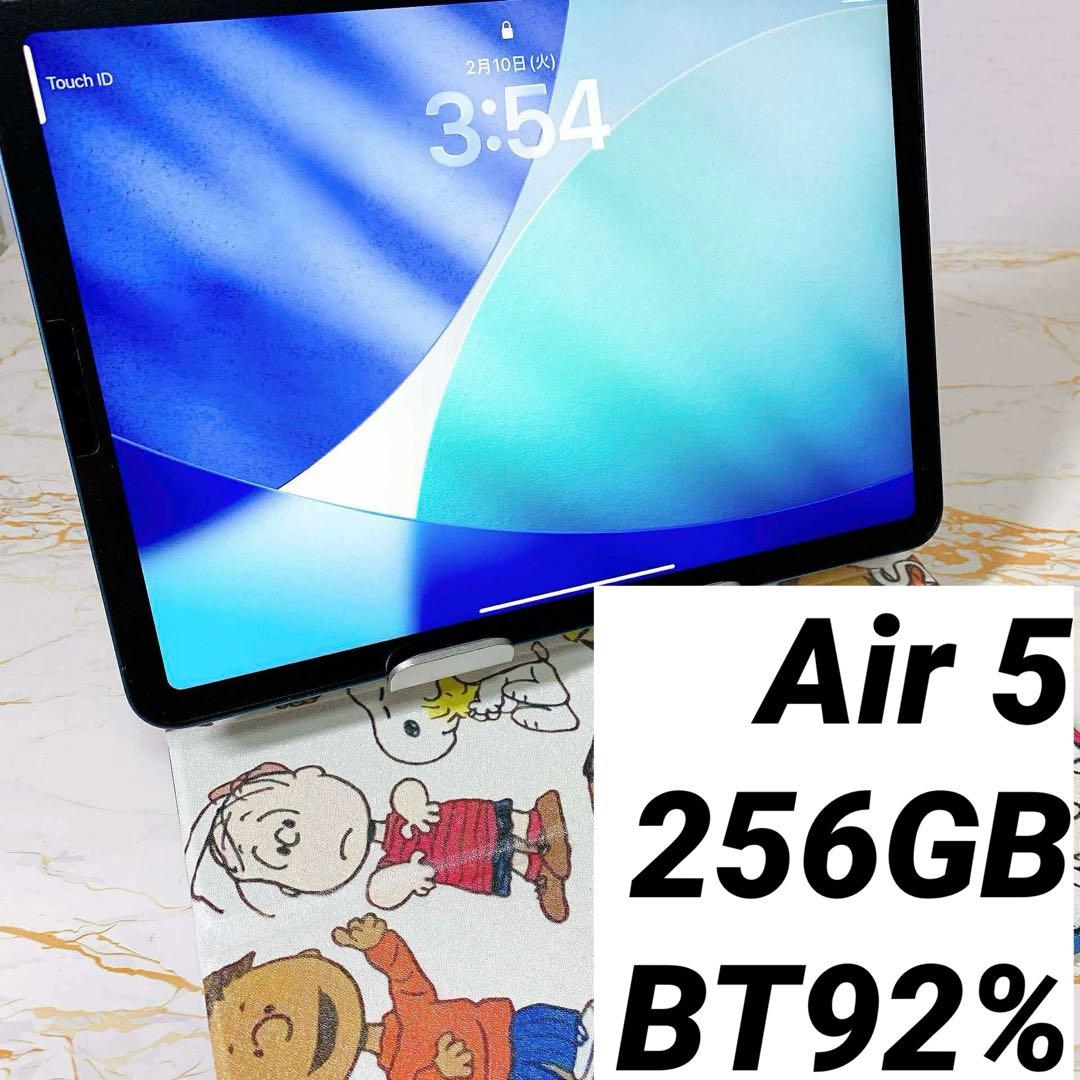 超美品iPad Air 第五世代 256GB BT92%
