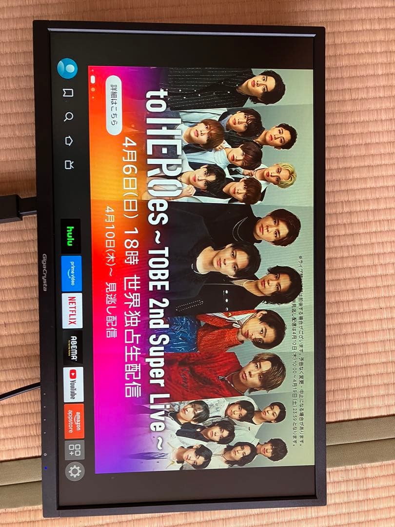 I・O DATA KH252V-ZS モニター GigaCrysta 24.5型