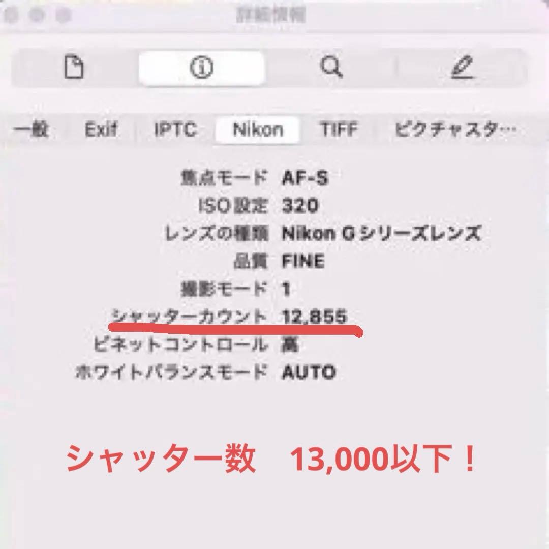Nikon D5600 ズーム、単焦点、予備バッテリー付き