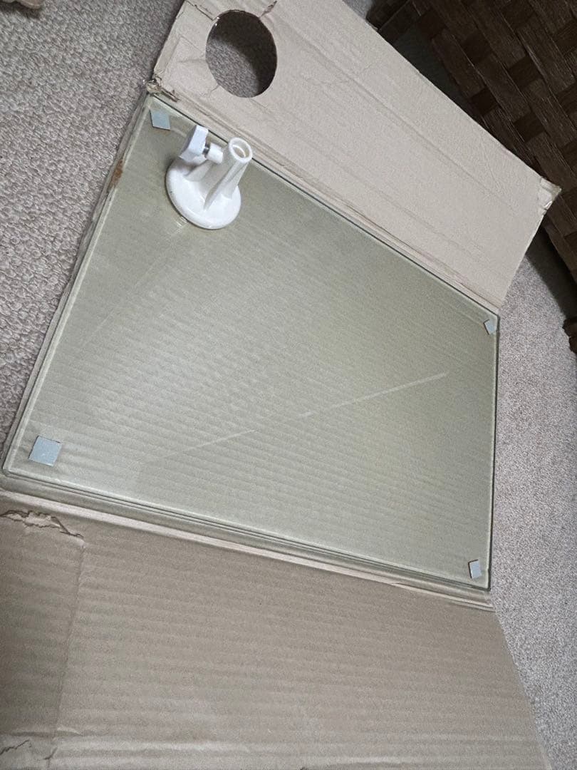 マネキン 女性 レディース 全身 軽量 トルソー ディスプレイ 可動160cm