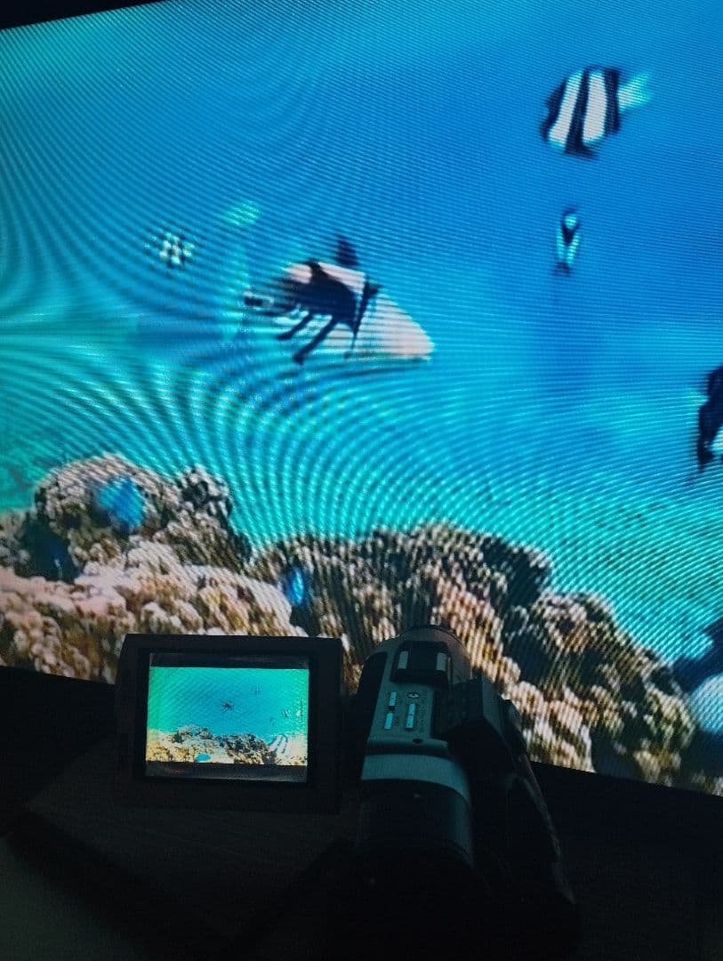 貴重なソニーの動作品 MiniDV ビデオカメラ DCR-TRV7 ミニdv