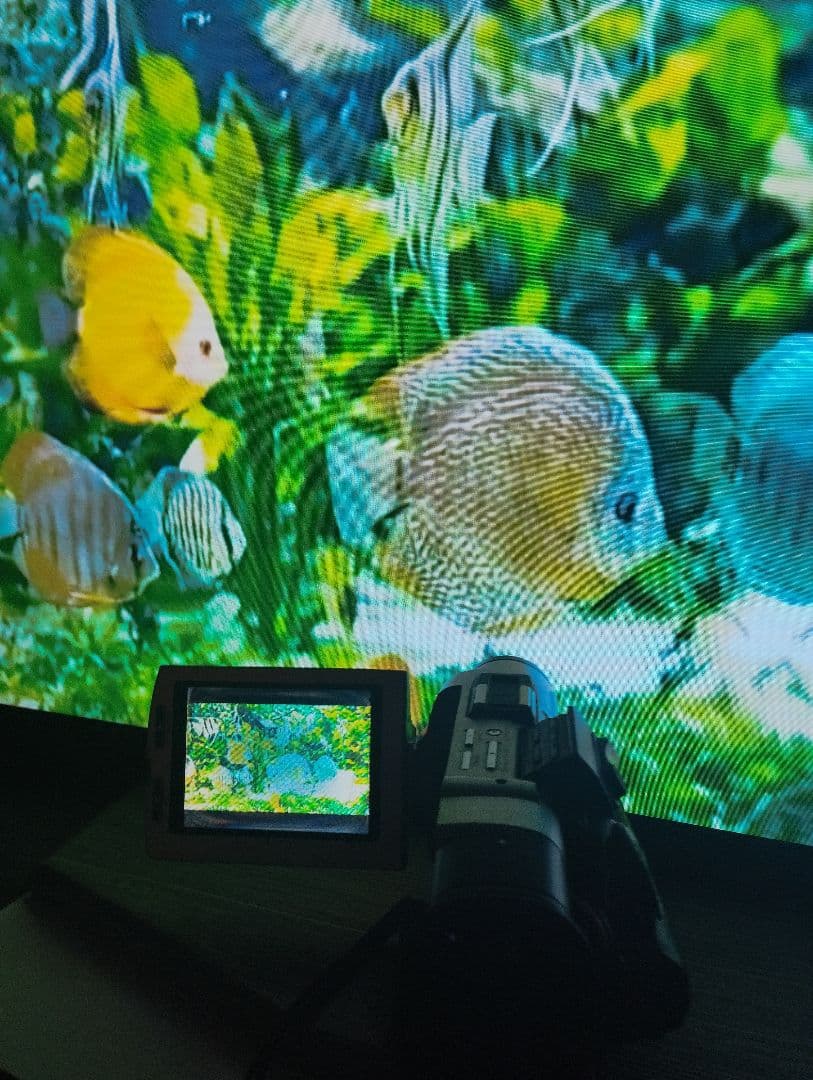 貴重なソニーの動作品 MiniDV ビデオカメラ DCR-TRV7 ミニdv