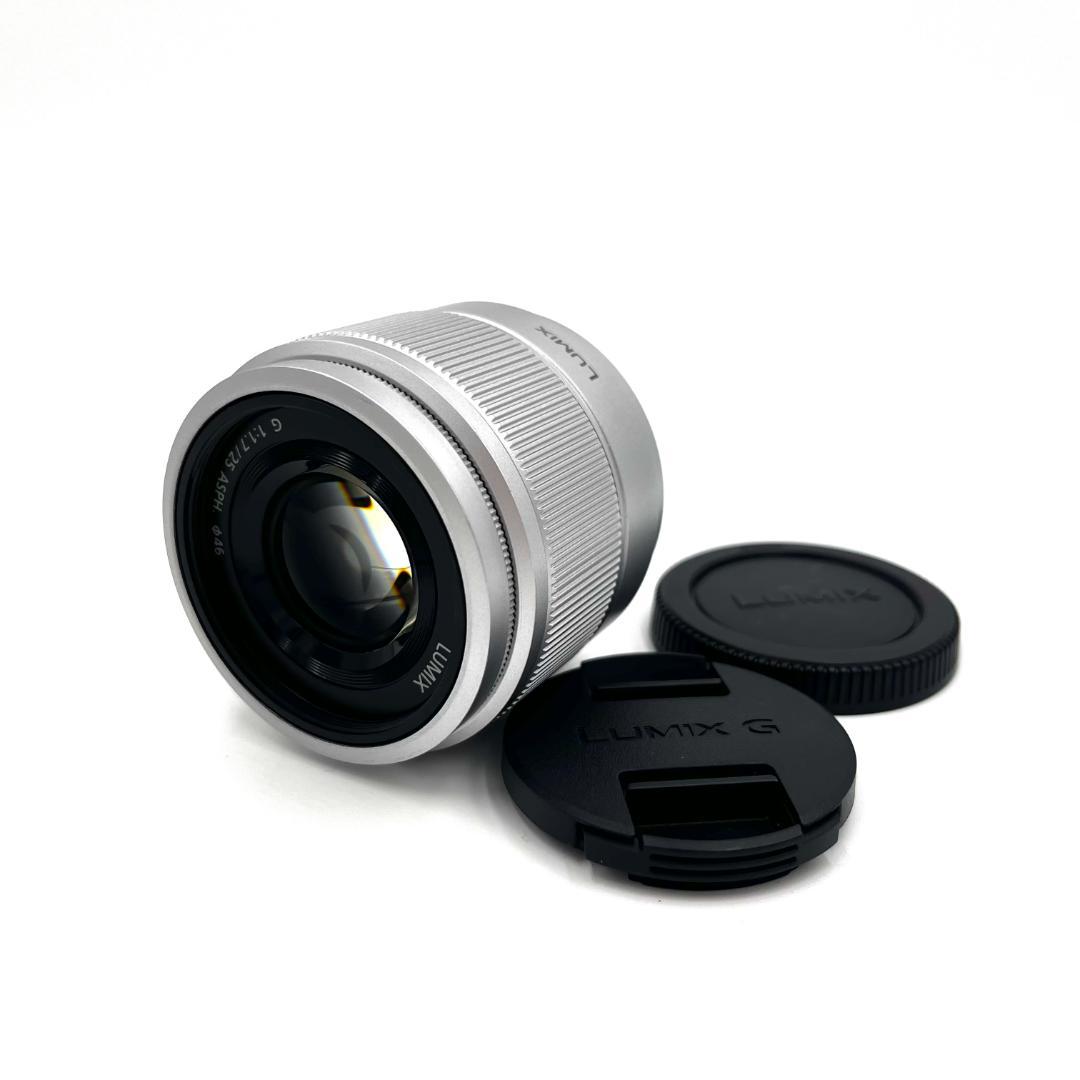 Panasonic H-H025 25mm F1.7 単焦点レンズ #156
