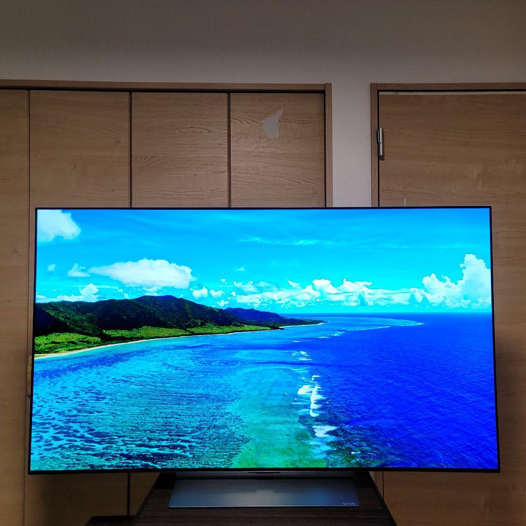 [使用9か月] LG OLED evo 55インチ 有機EL　テレビ