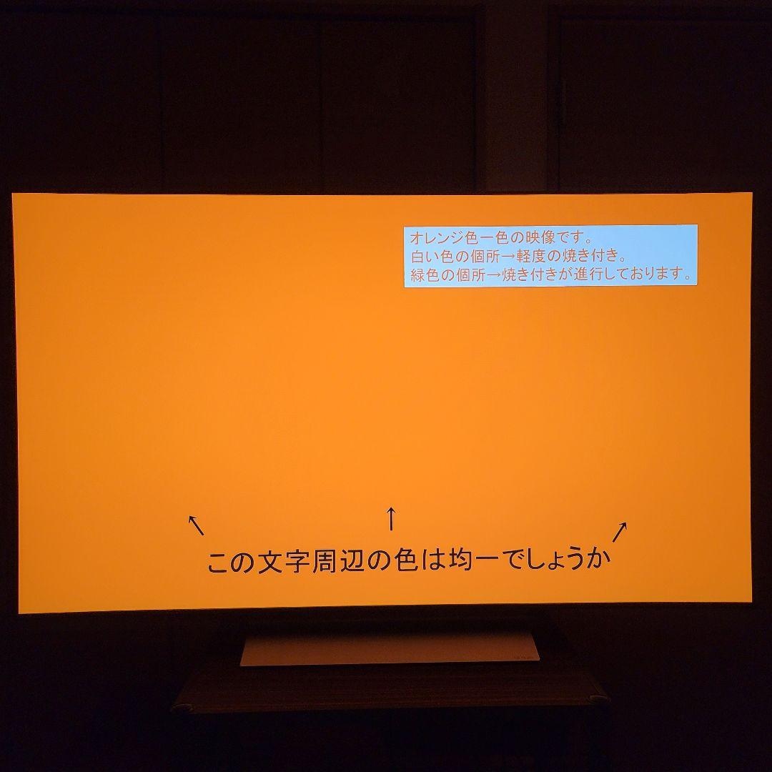 [使用9か月] LG OLED evo 55インチ 有機EL　テレビ