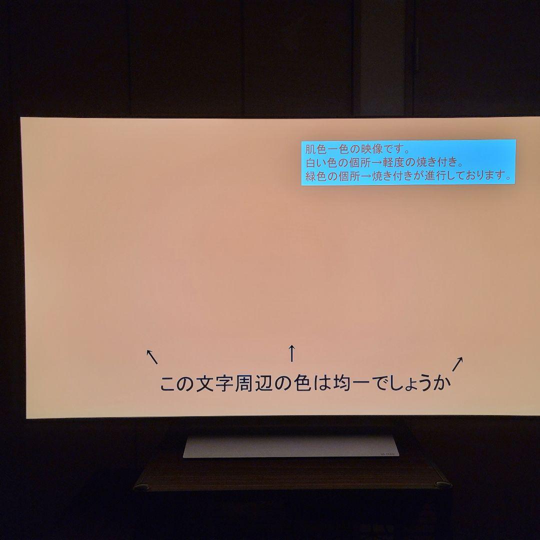 [使用9か月] LG OLED evo 55インチ 有機EL　テレビ