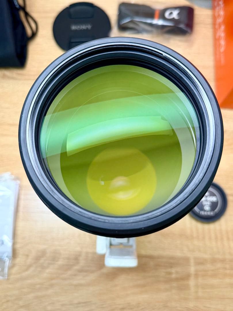 SONY FE 200-600mm F5.6-6.3G OSS 望遠ズームレンズ