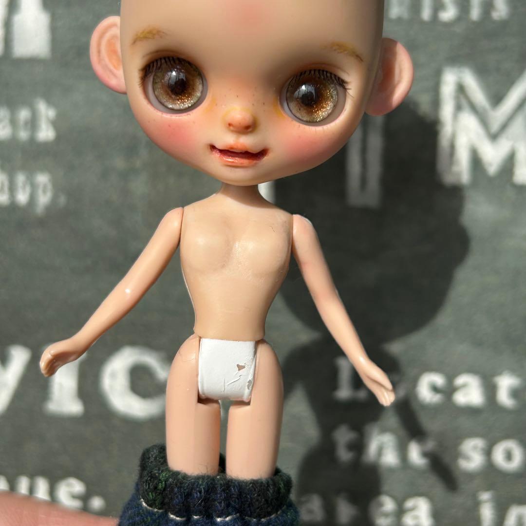 プチブライスカスタム おさかな☆ドール 専用