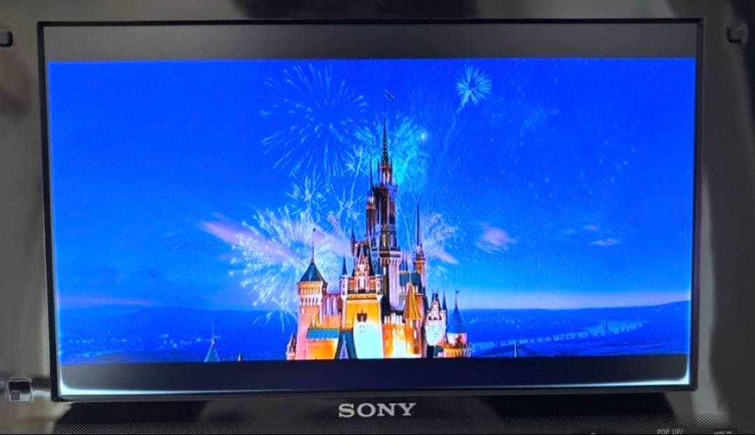 SONY ポータブル ブルーレイプレーヤー　変換プラグ付き