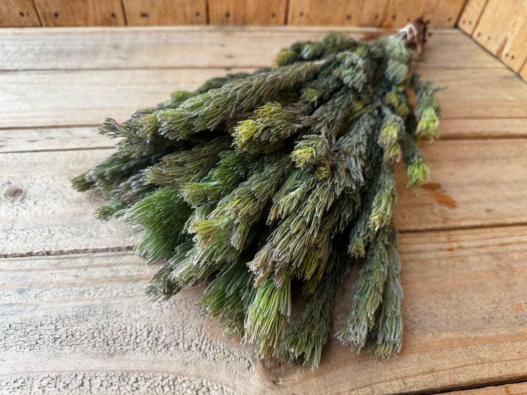 Fluffy様 リクエスト 3点 まとめ商品