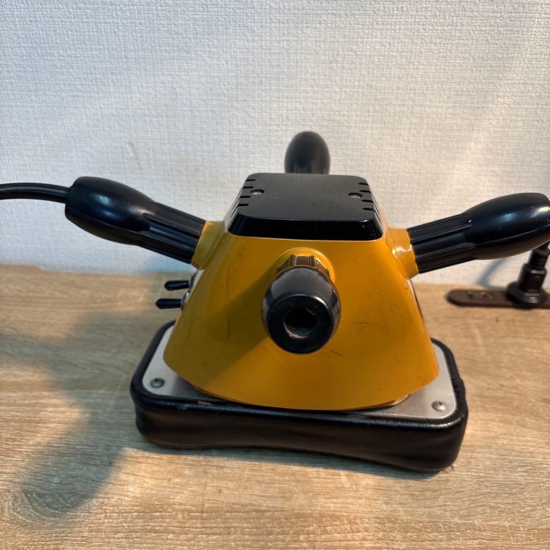 ボディ・フェイスケア RAYMAX NEW-7