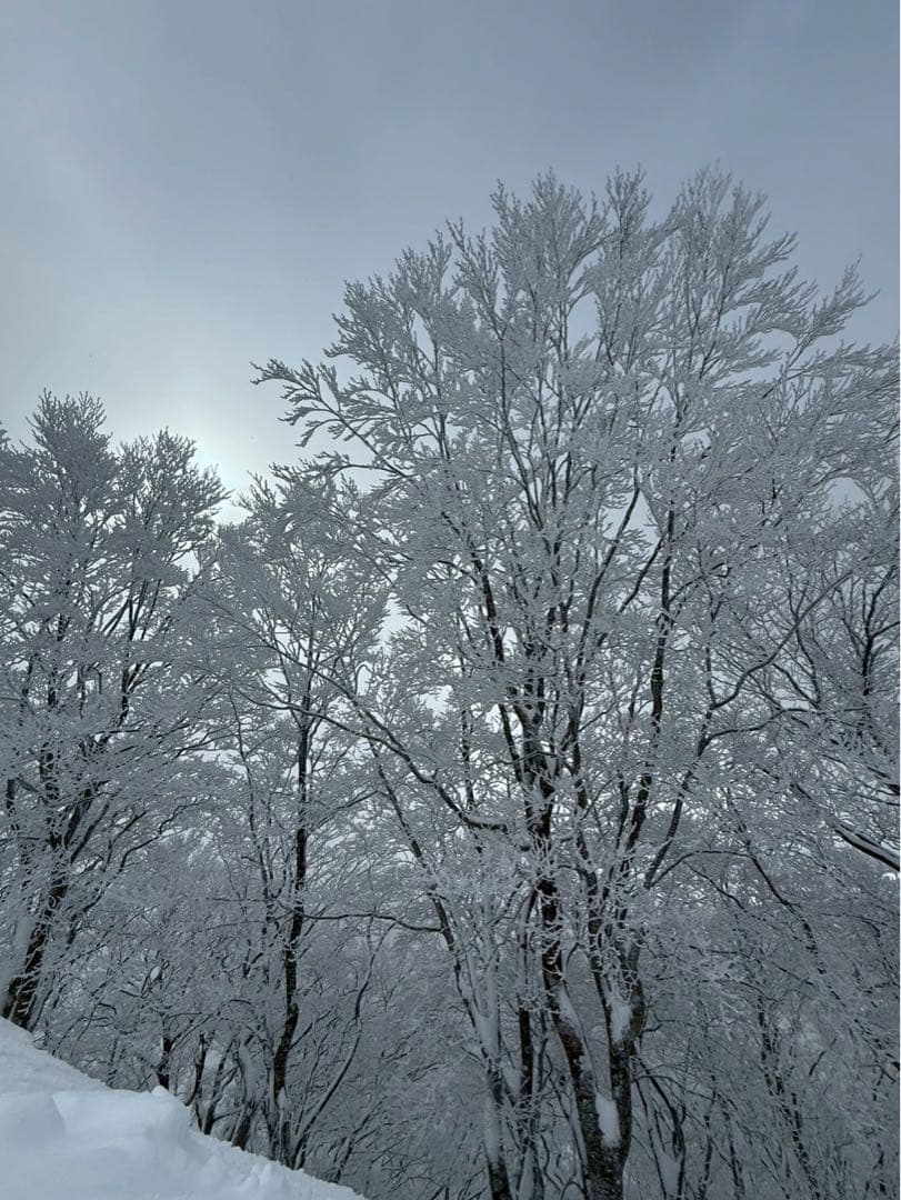 Canon rf s 18-150mm f3.5-6.3＋uvフィルタ