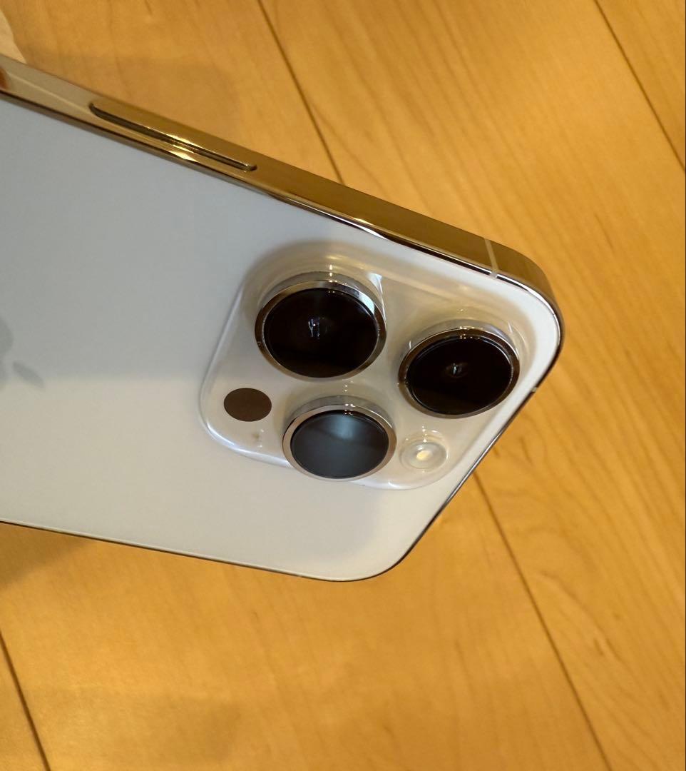 黄*邪様 Apple iPhone 14 Pro 512GB シルバー