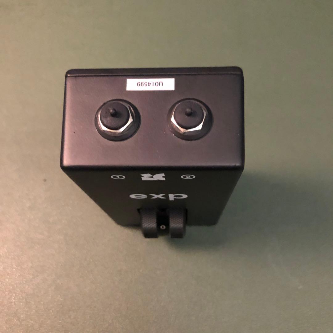 美品 chase bliss EXP TRSエクスプレッションペダル