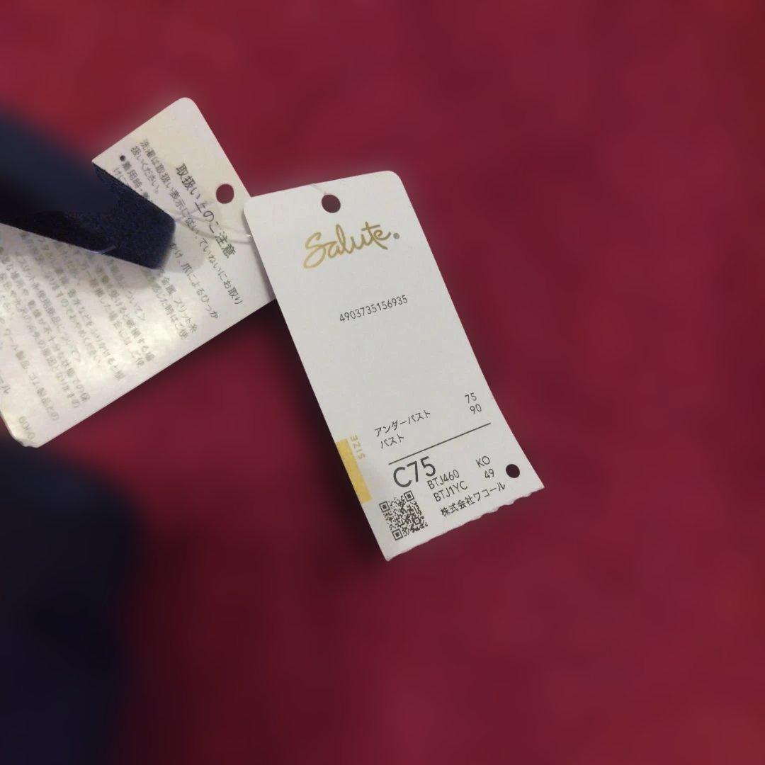 Salute 花柄刺繍 ブラジャーショーツセット C75　Lです