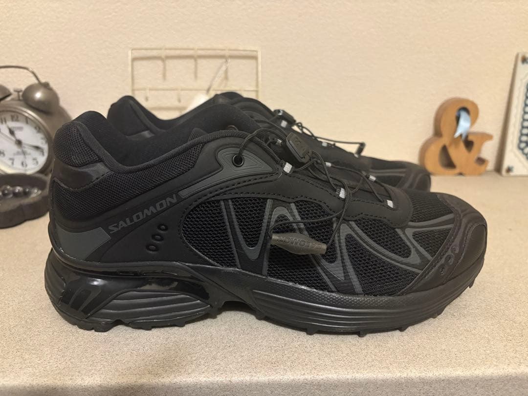 靴 salomon xt-whisper