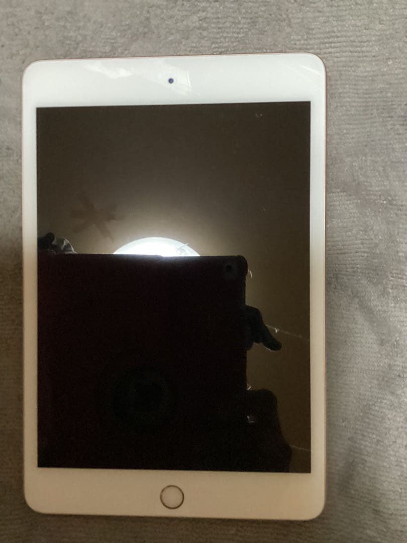 iPad本体 APPLE iPad mini 5 WI-FI 64GB