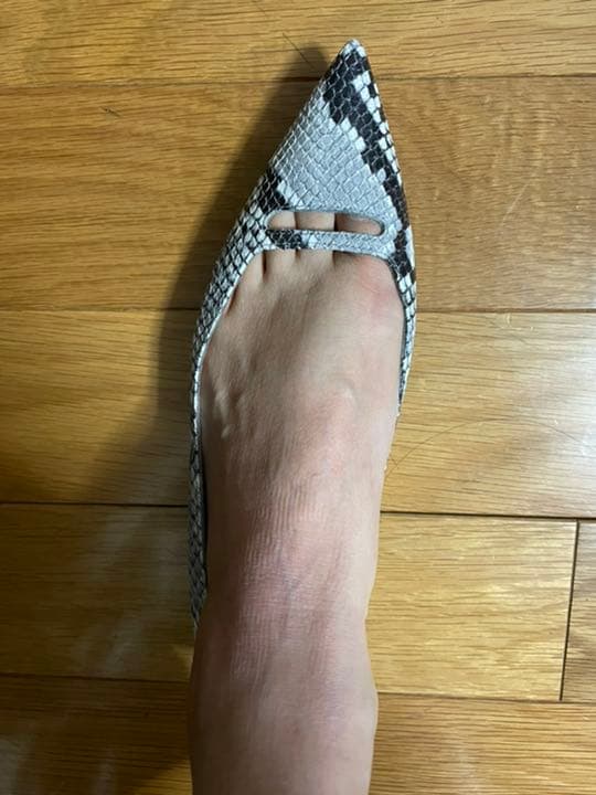 新品未使用　Pellico ペリーコ  パンプス　フラット　パイソン