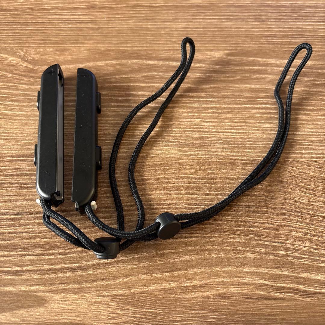 Switch スプラトゥーンモデル 本体 ドッグ SDカード Joy-Con