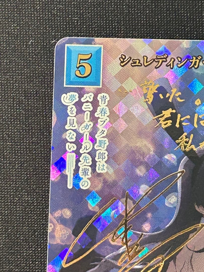 シュレディンガーの兎　桜島麻衣　br ビルディバイド青ブタ