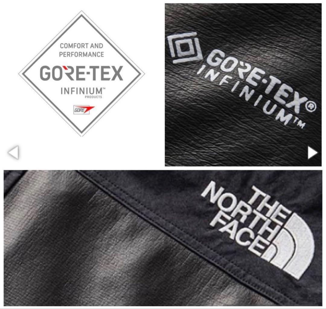 THE NORTH FACE GTX PAMIR パミールジャケット　XL