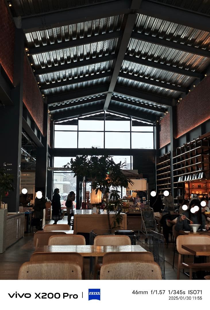 vivo X200 Pro 大陸版 チタニウム 12GB 256GB