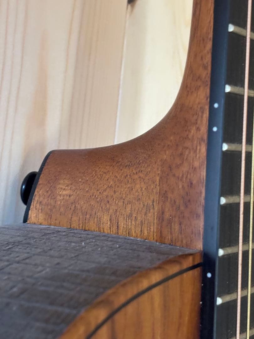 ギター LAG sauvage-ace