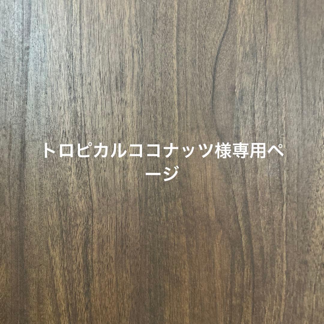 トロピカルココナッツページ