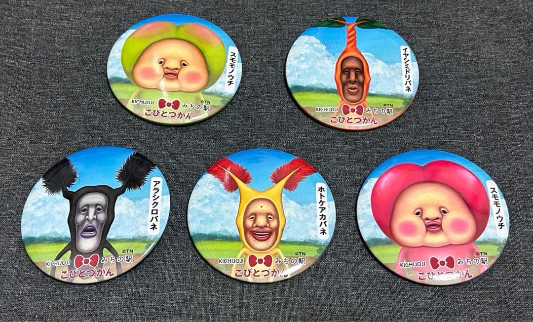 新品未使用吉祥寺道の駅限定こびとづかんBIG缶バッチ全種類18点　コンプリート