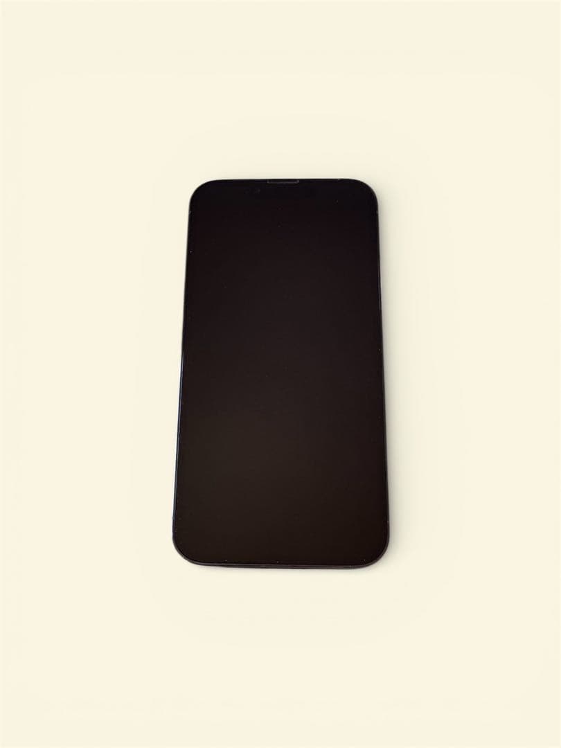 iPhone 13 Pro 256GB シエラブルー SIMフリー 箱あり即発送