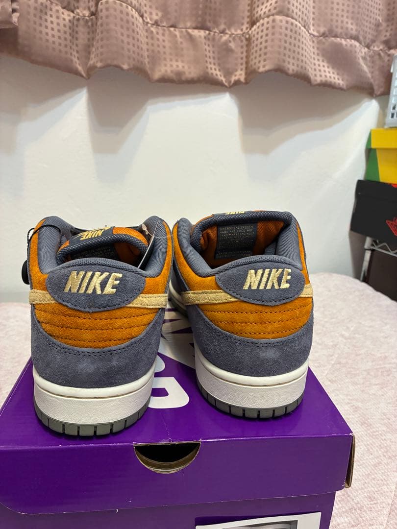 靴 NIKE sb dunk low pro